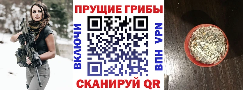 hydra ONION  Славгород  Псилоцибиновые грибы ЛСД 