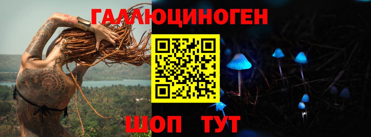 Галлюциногенные грибы Magic Shrooms  Вход с VPN  Славгород 